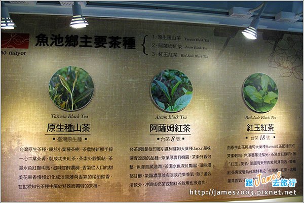 【南投魚池】日月潭-廖鄉長紅茶故事館、紅玉的花茶店07.JPG