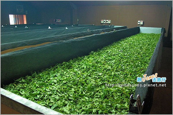 【南投魚池】日月潭-廖鄉長紅茶故事館、紅玉的花茶店09.JPG