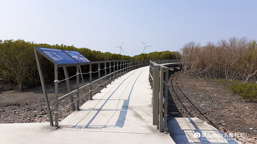 芳苑濕地紅樹林海空步道開放 彰化新景點賞夕陽吹海風02.jpg