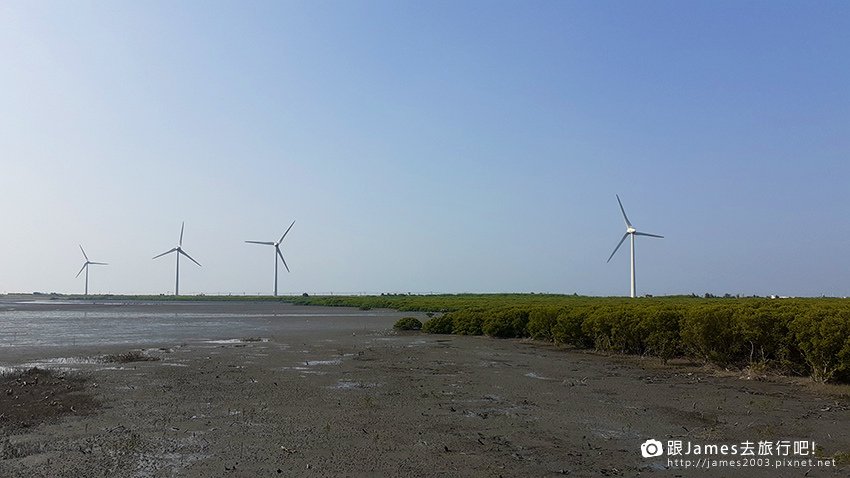 芳苑濕地紅樹林海空步道開放 彰化新景點賞夕陽吹海風11.jpg