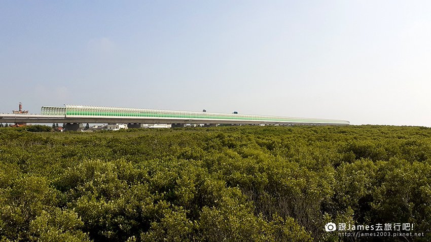 芳苑濕地紅樹林海空步道開放 彰化新景點賞夕陽吹海風15.jpg