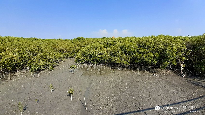 芳苑濕地紅樹林海空步道開放 彰化新景點賞夕陽吹海風14.jpg