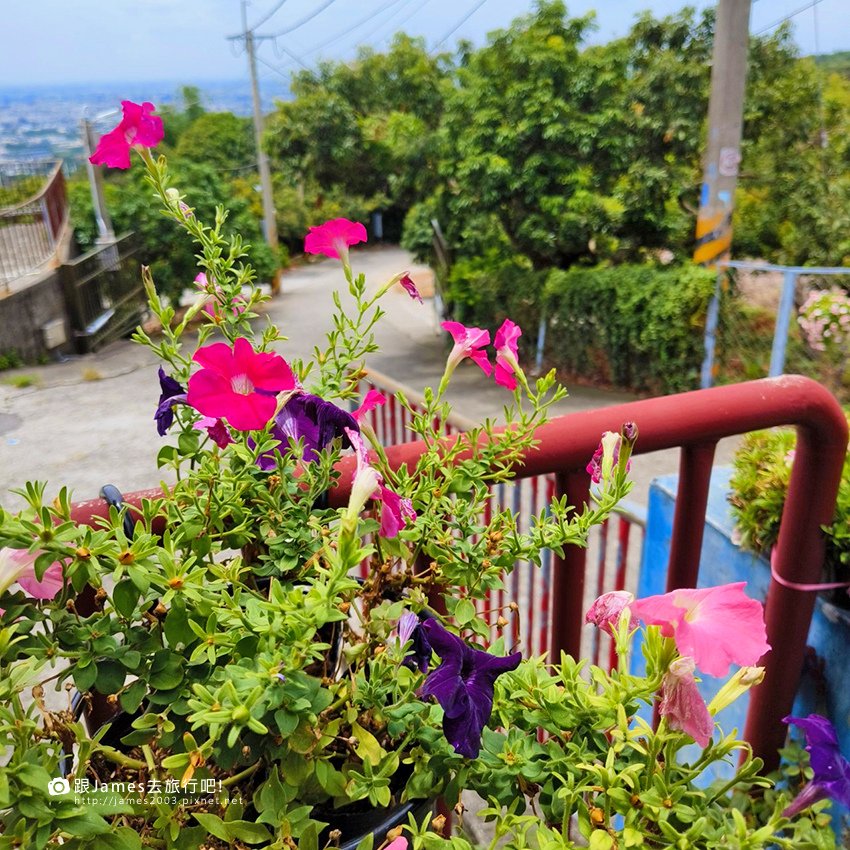 旅行聚餐推薦-登遊土雞城17.jpg