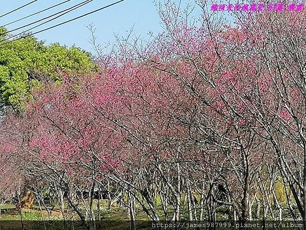 IMG_20190206_095142.jpg