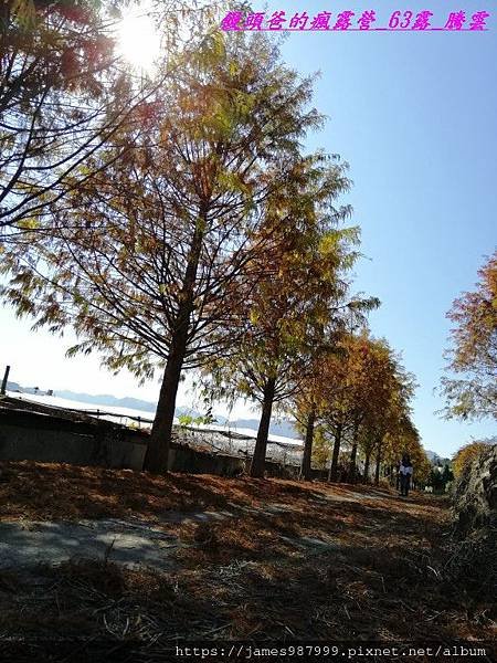 IMG_20190206_100358.jpg