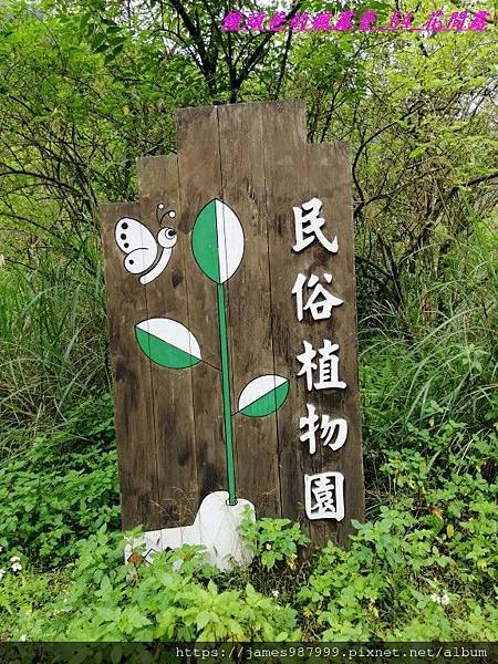 IMG_20190228_093748.jpg