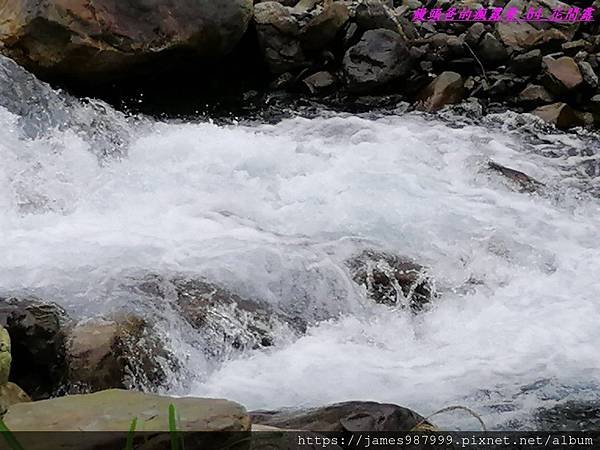 IMG_20190228_095757.jpg