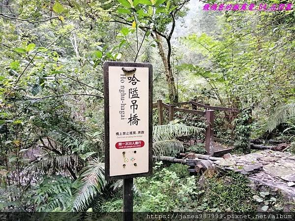 IMG_20190228_102555.jpg