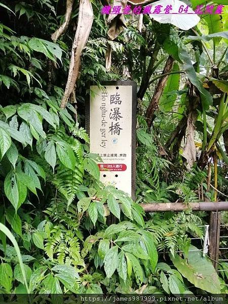 IMG_20190228_102800.jpg