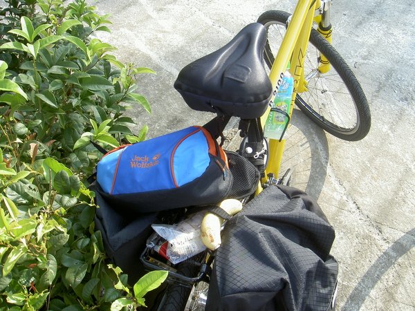 PICT2794.JPG