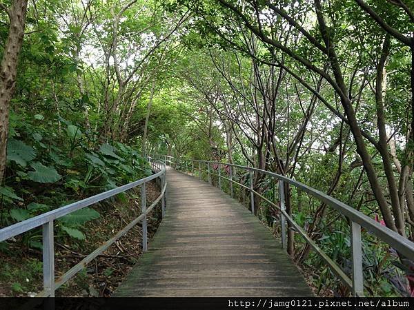 福州山亂走富陽森林公園_01.jpg