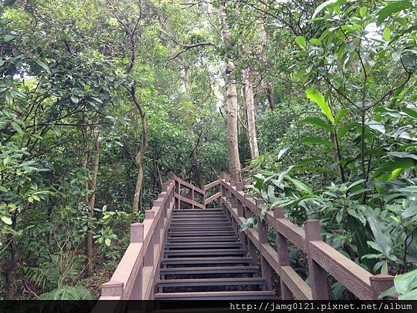 福州山亂走富陽森林公園_12.jpg