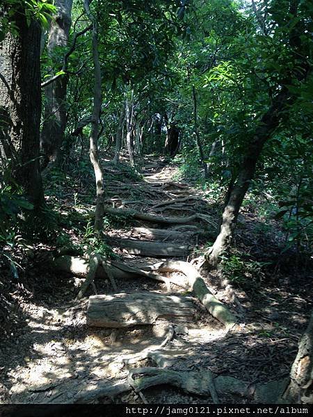 福州山亂走富陽森林公園_15.jpg