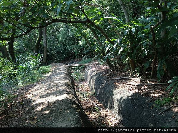 福州山亂走富陽森林公園_16.jpg