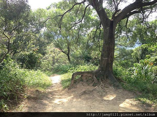 福州山亂走富陽森林公園_19.jpg