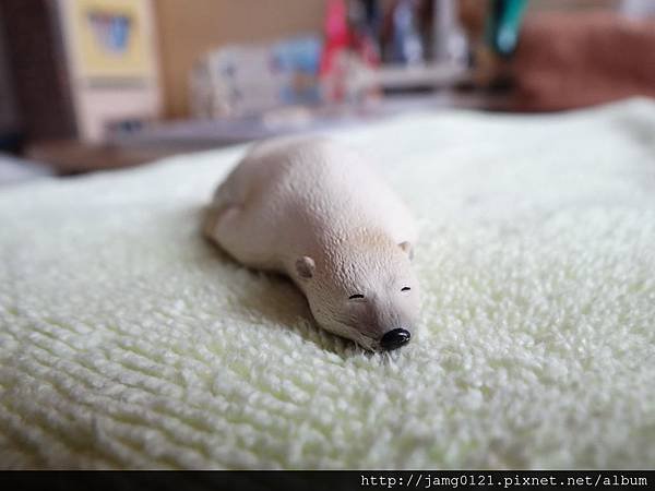 休眠動物園第二彈_05.JPG