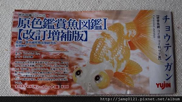 原色鑑賞魚圖鑑Ⅰ改訂增補版_48.JPG