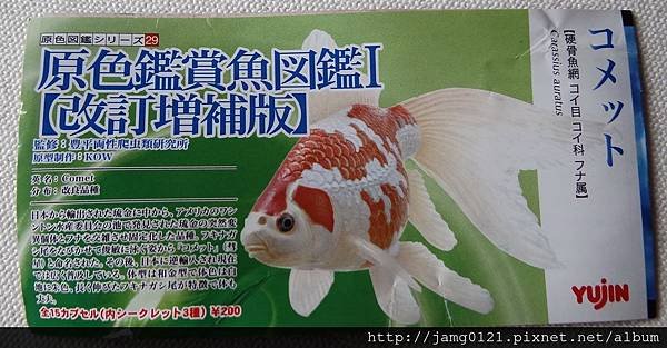 原色鑑賞魚圖鑑Ⅰ改訂增補版_56.JPG