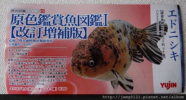 原色鑑賞魚圖鑑Ⅰ改訂增補版_60.JPG