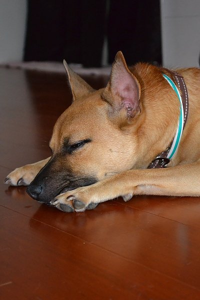 DSC_0145.JPG