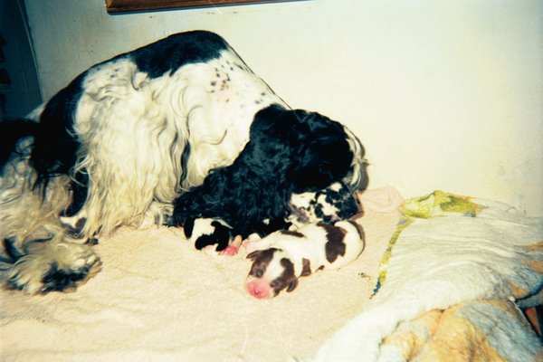 image02.jpg