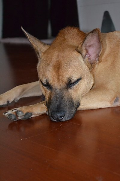 DSC_0144.JPG