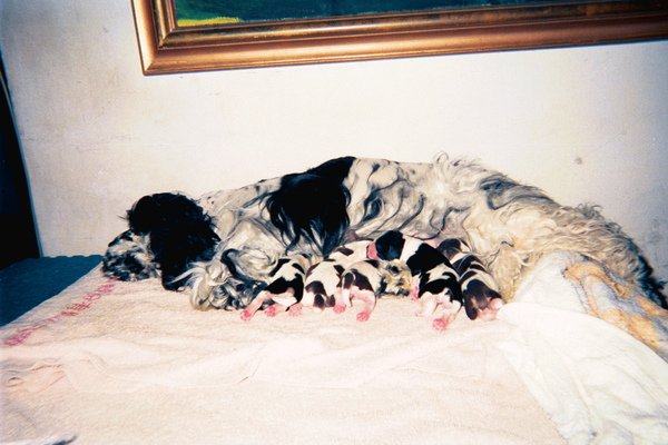 image12.jpg