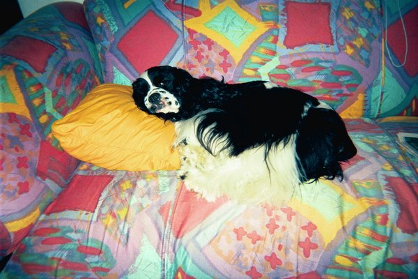 image01.jpg