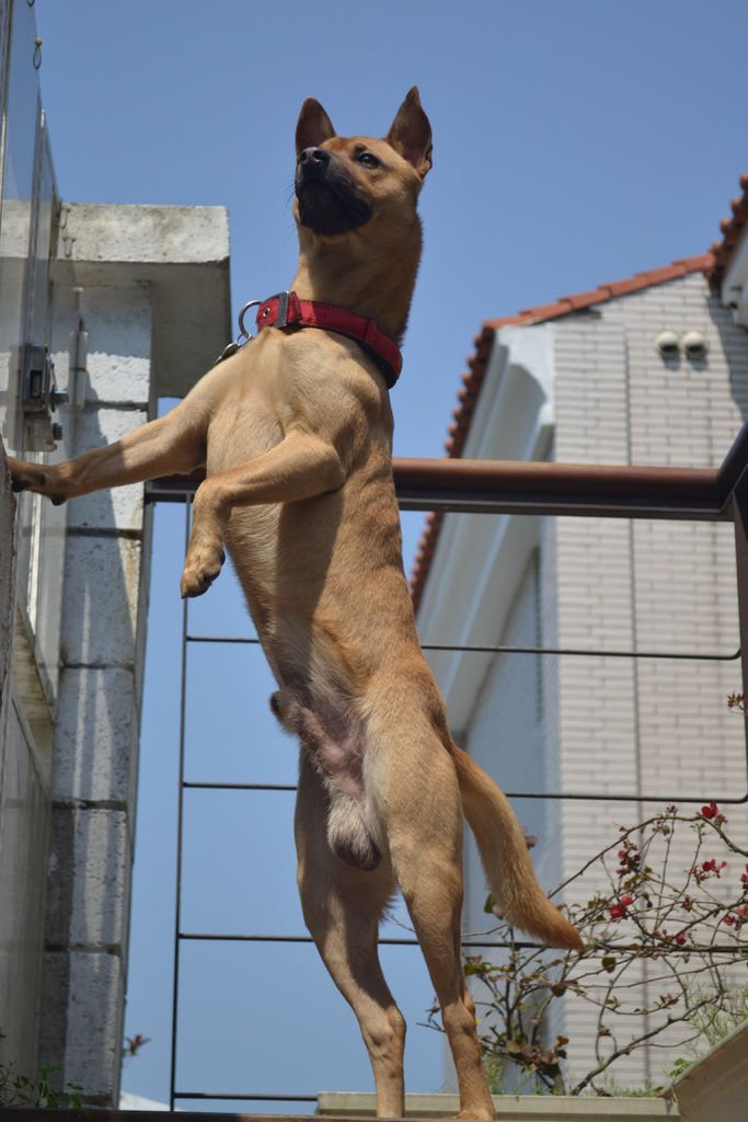 DSC_0170.JPG