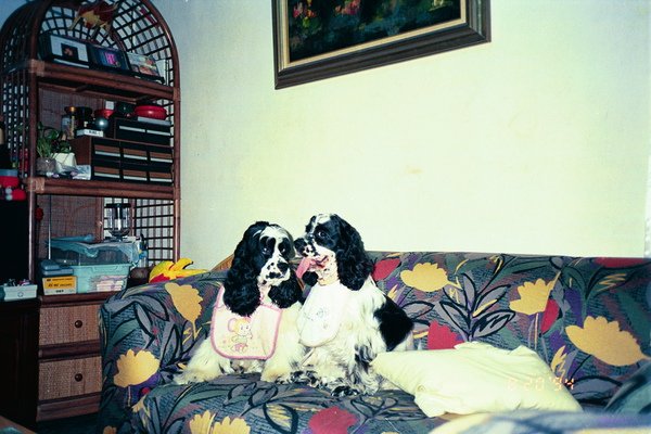 image37.jpg
