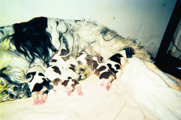 image09.jpg