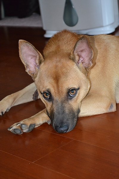 DSC_0138.JPG