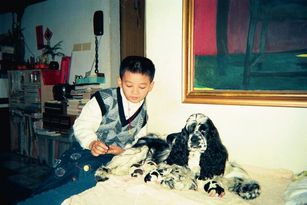 image35.jpg