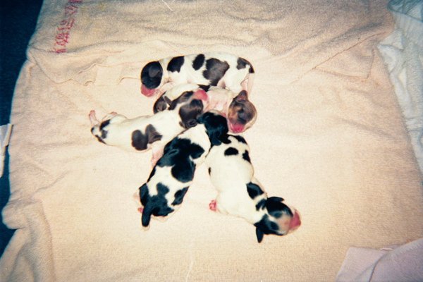 image23.jpg