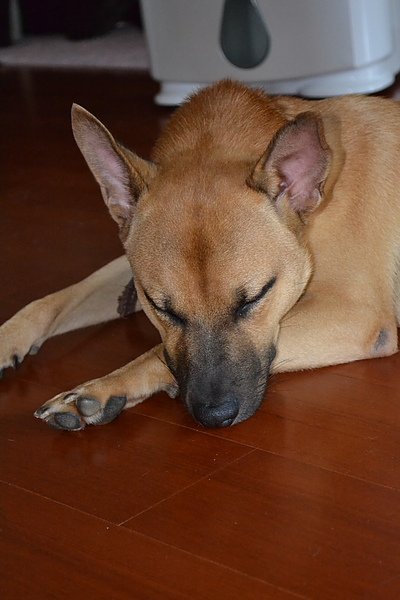 DSC_0137.JPG