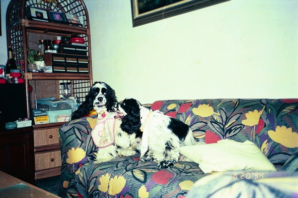 image36.jpg