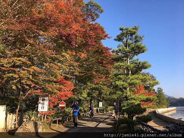 【天橋立】傘松公園之昇龍觀