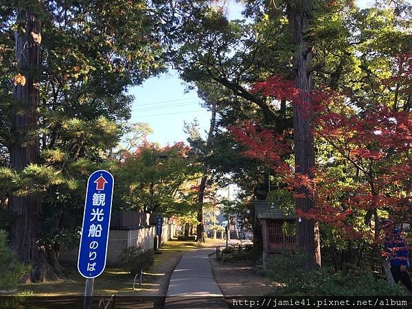 【天橋立】傘松公園之昇龍觀