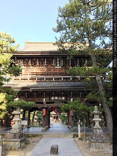 【天橋立】傘松公園之昇龍觀