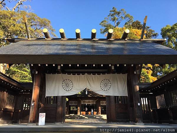 【天橋立】傘松公園之昇龍觀