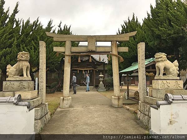 【直島】瀨戶內海藝術祭前之一日跳島全紀錄