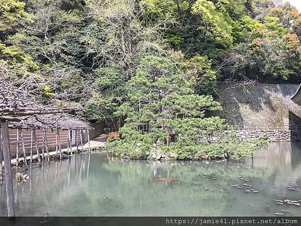 【島根】出雲大社之行～從舊大社駅出發參拜出雲大社