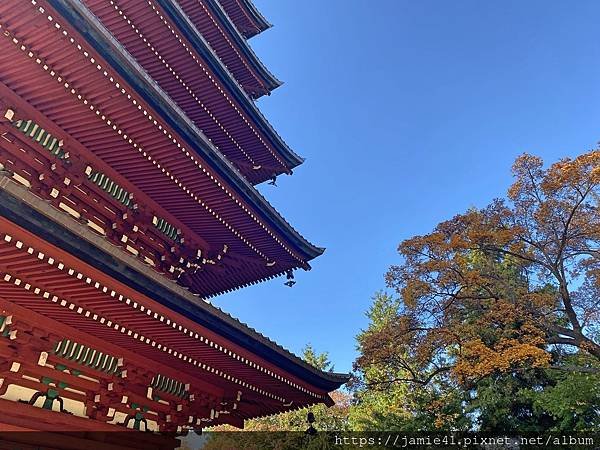 【弘前】到東北第一美塔賞楓～最勝院五重塔