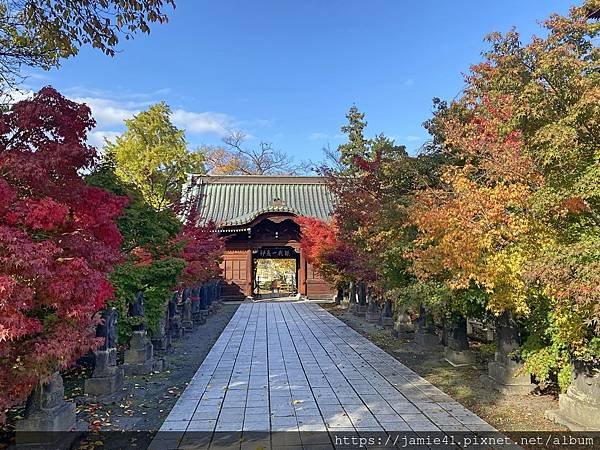 【弘前】到東北第一美塔賞楓～最勝院五重塔