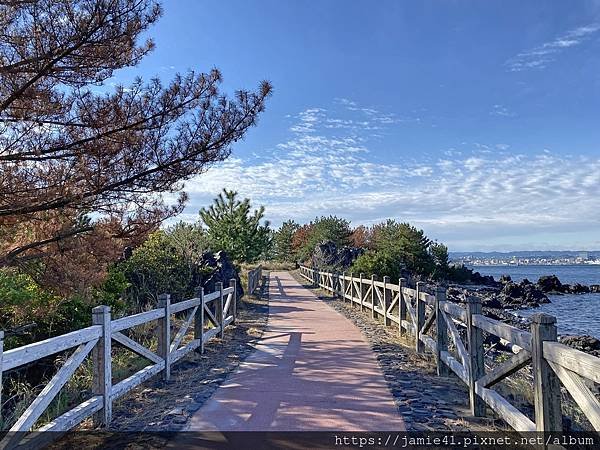 【鹿兒島】櫻島半日遊～三大展望台、最長足湯、溶岩遊步道