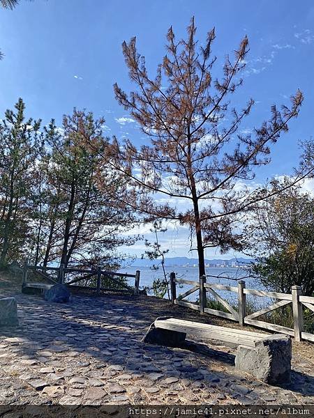 【鹿兒島】櫻島半日遊～三大展望台、最長足湯、溶岩遊步道