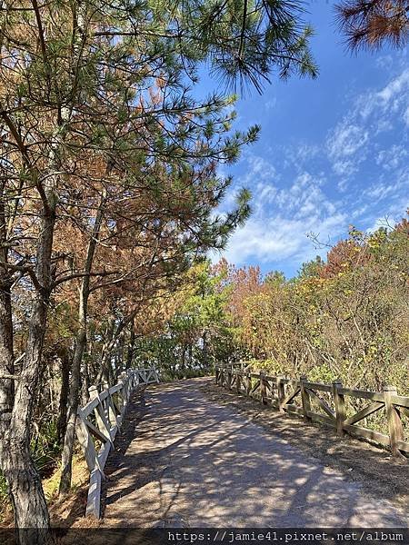 【鹿兒島】櫻島半日遊～三大展望台、最長足湯、溶岩遊步道