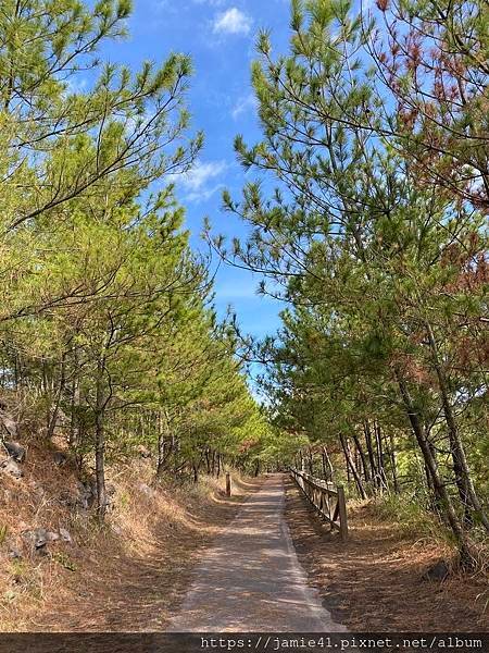 【鹿兒島】櫻島半日遊～三大展望台、最長足湯、溶岩遊步道