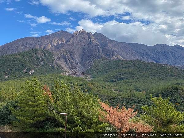 【鹿兒島】櫻島半日遊～三大展望台、最長足湯、溶岩遊步道