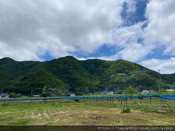 【長野】小布施散步去「岩松院」與「淨光寺」